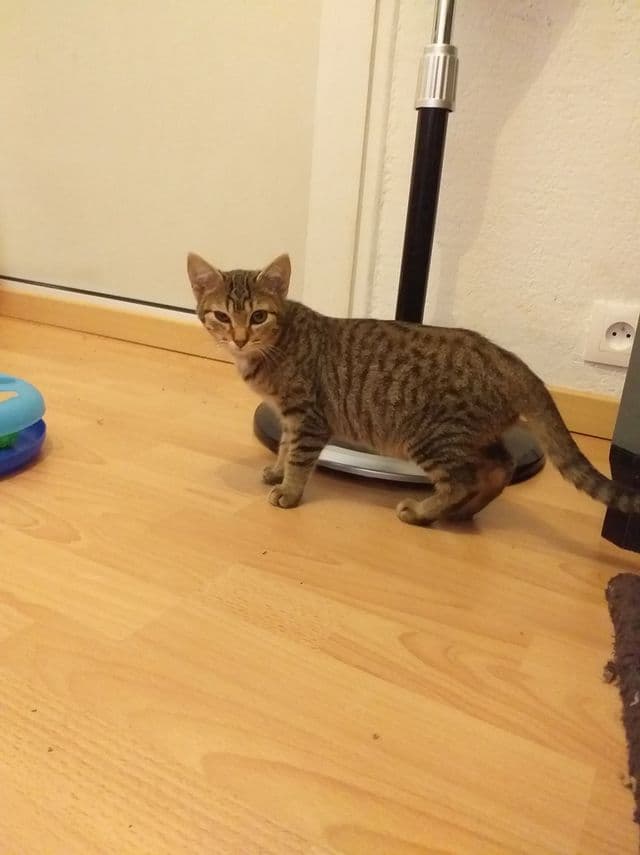Photo de Adopté(e)