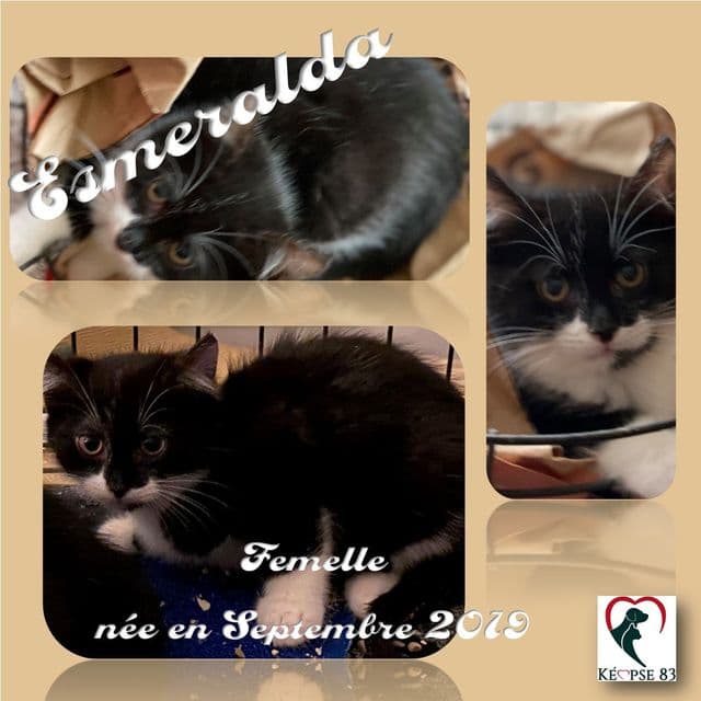 Photo de Esmeralda