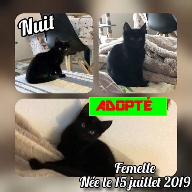 Photo de Nuit