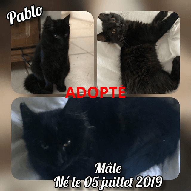 Photo de Pablo