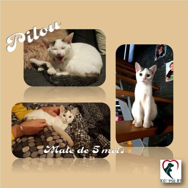 Photo de Pilou