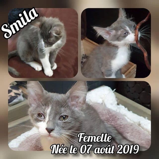Photo de Smila