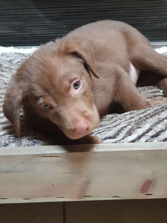 Photo de Adopté(e)