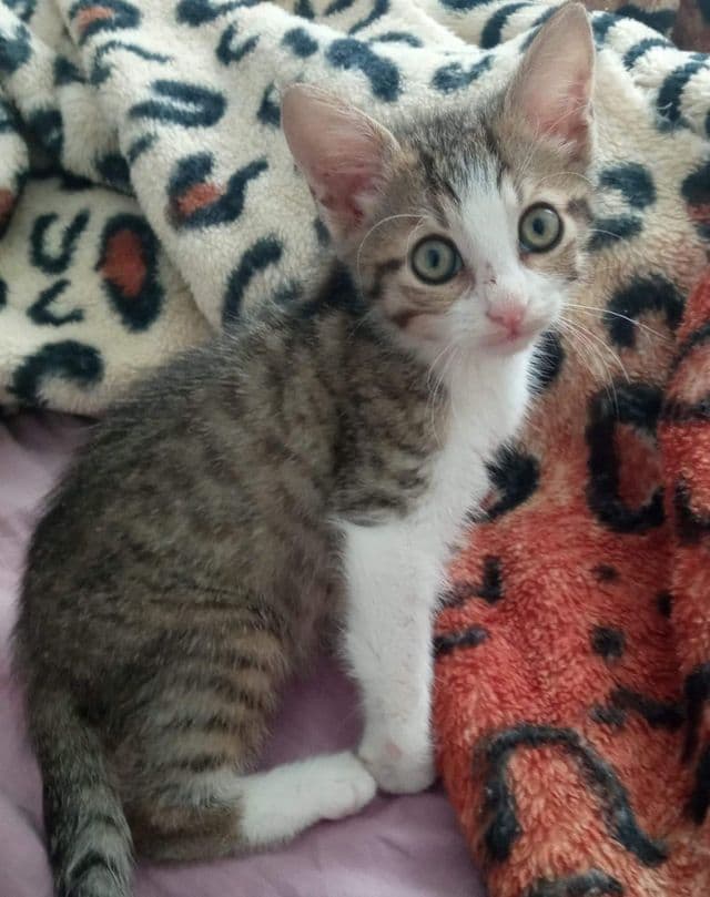 Photo de Coco