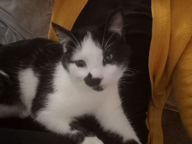 Photo de Léo