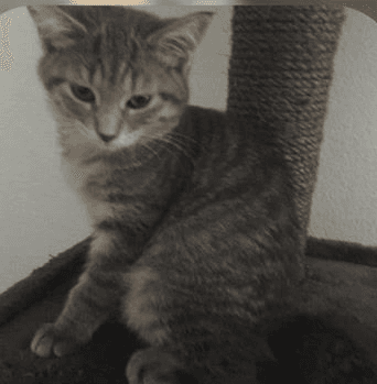 Photo de Paméla