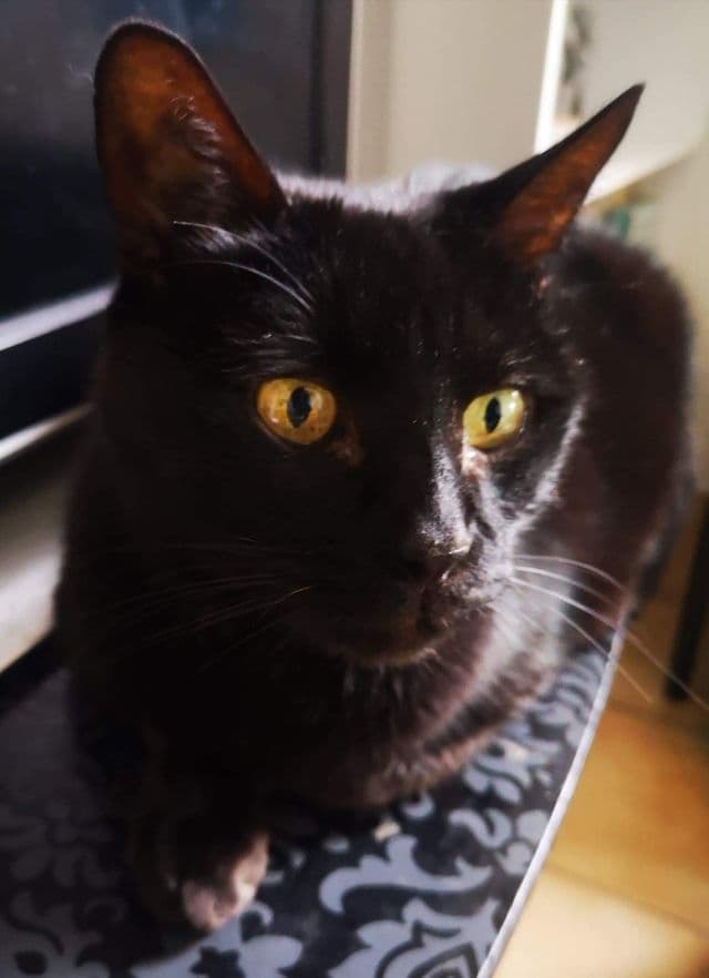 Photo de Patachou
