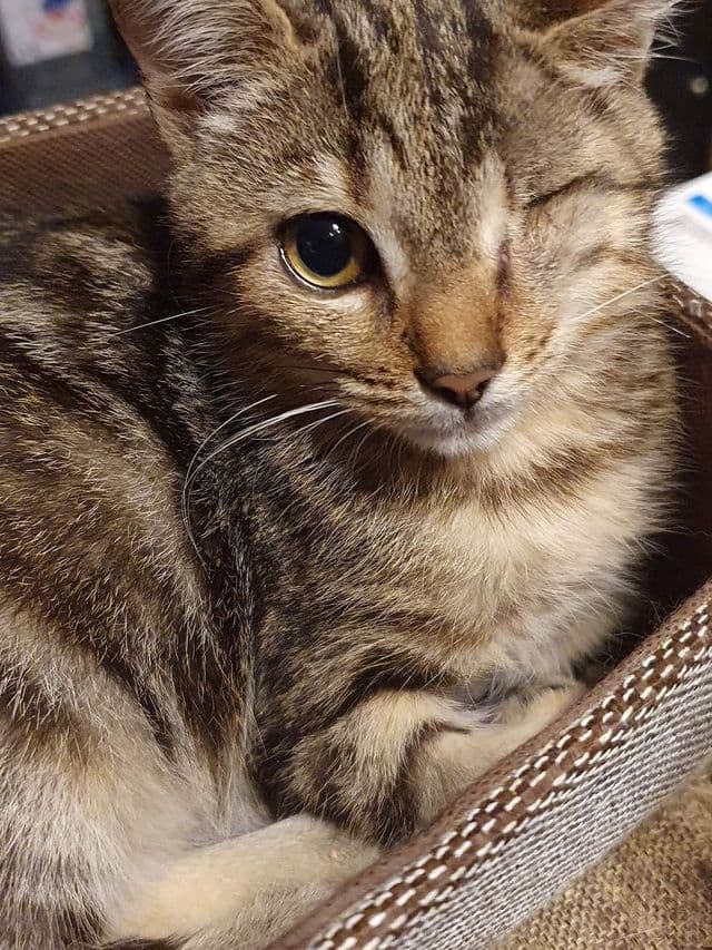 Photo de Renée