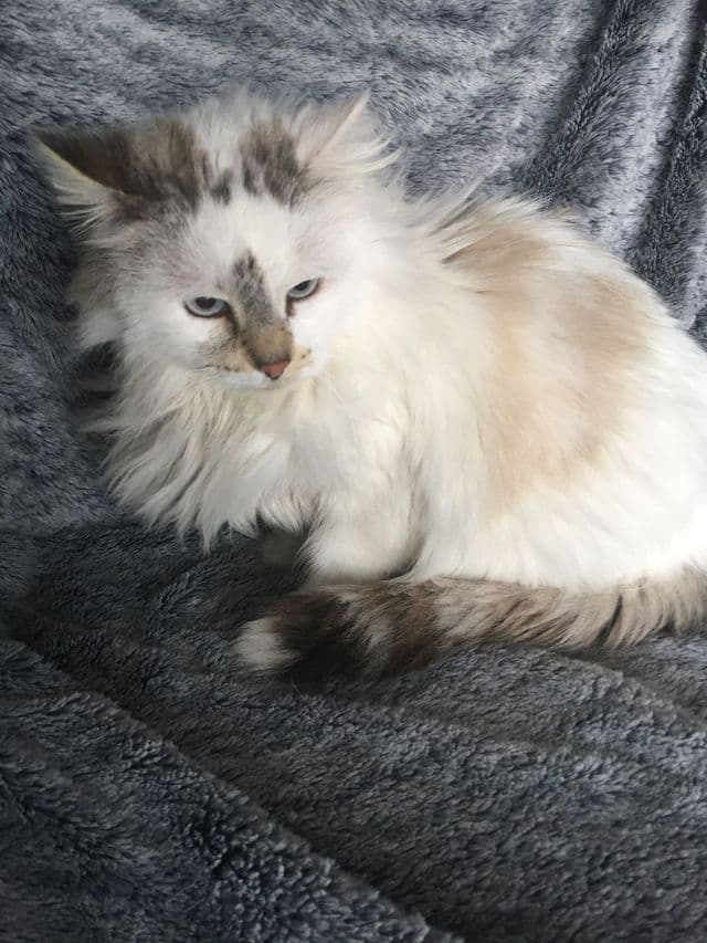 Photo de Socrate