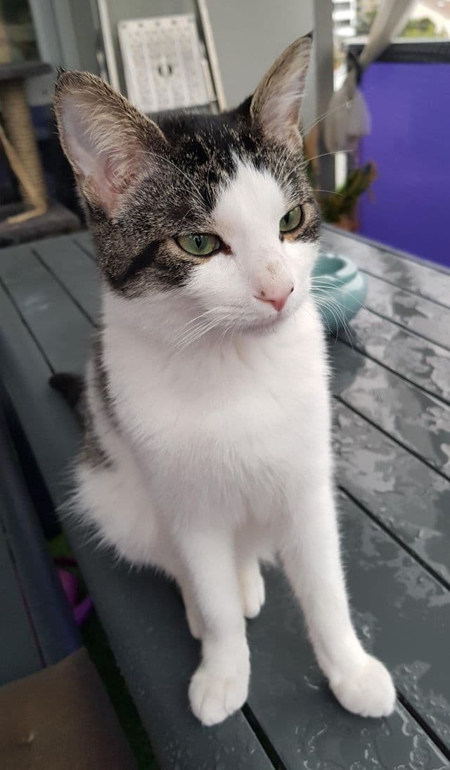 Photo de Stéphan