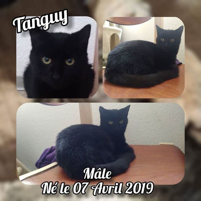 Photo de Tanguy