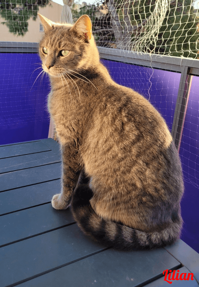 Photo de Lilian
