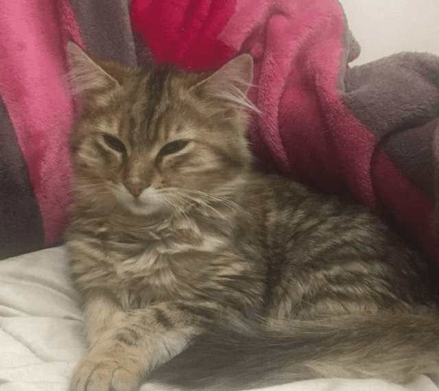 Photo de Mimi
