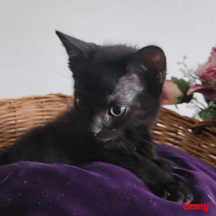Photo de Samy