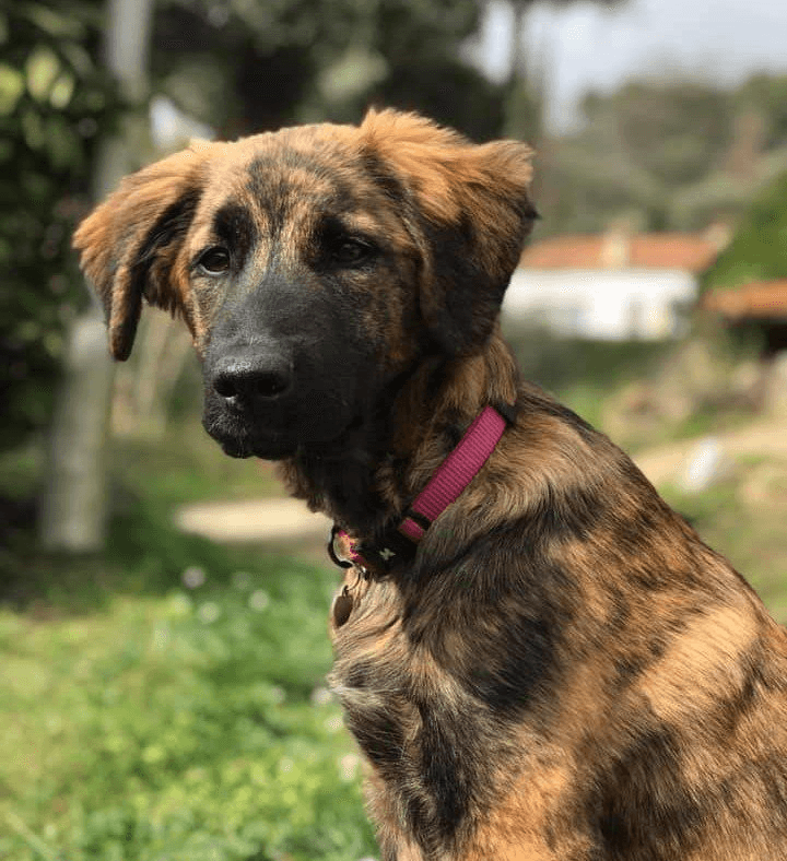 Photo de Vénus