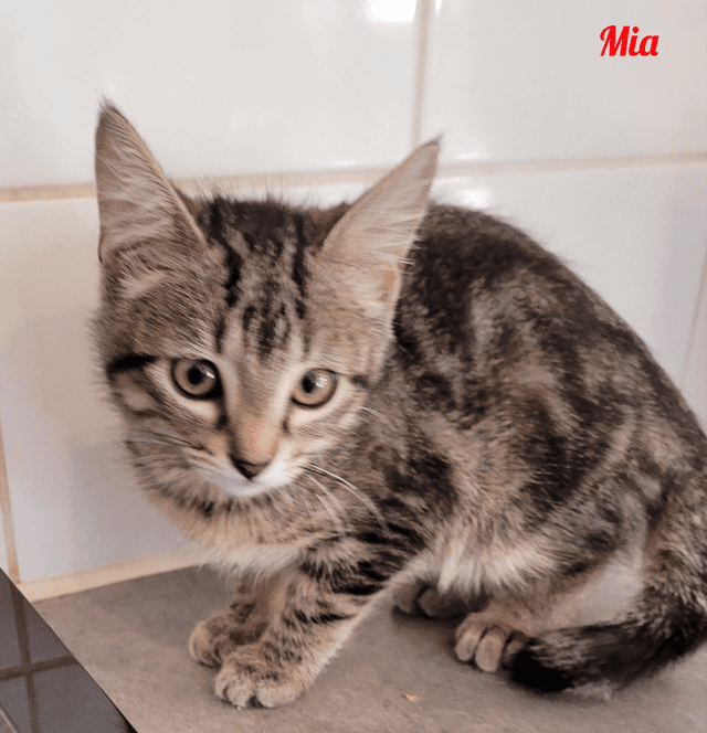 Photo de Mia