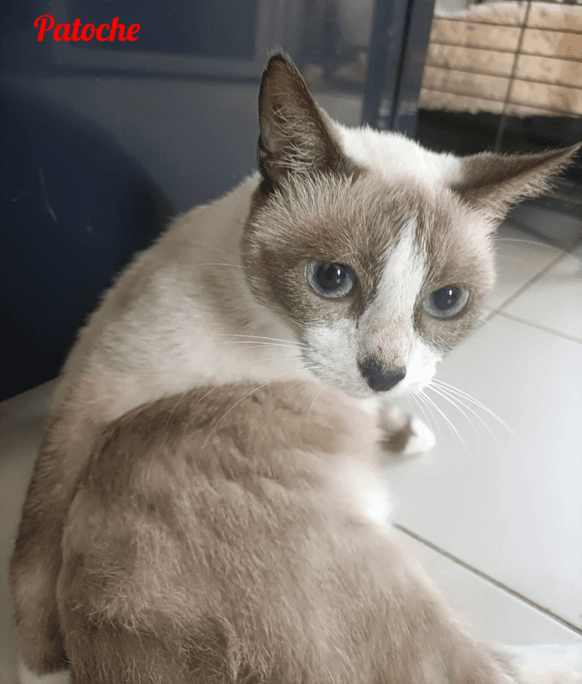 Photo de Patoche