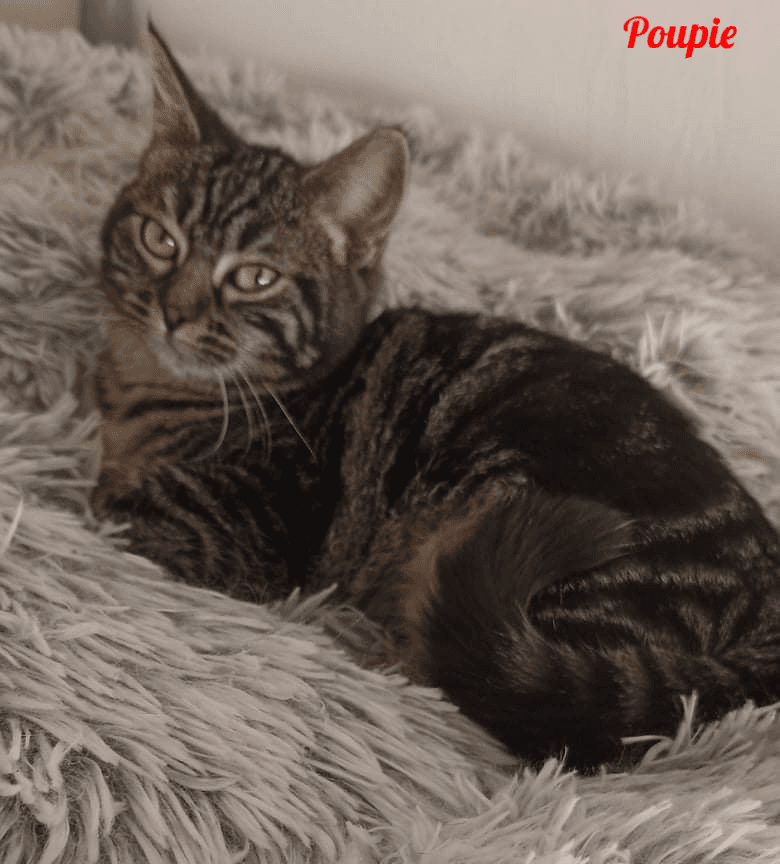 Photo de Poupie