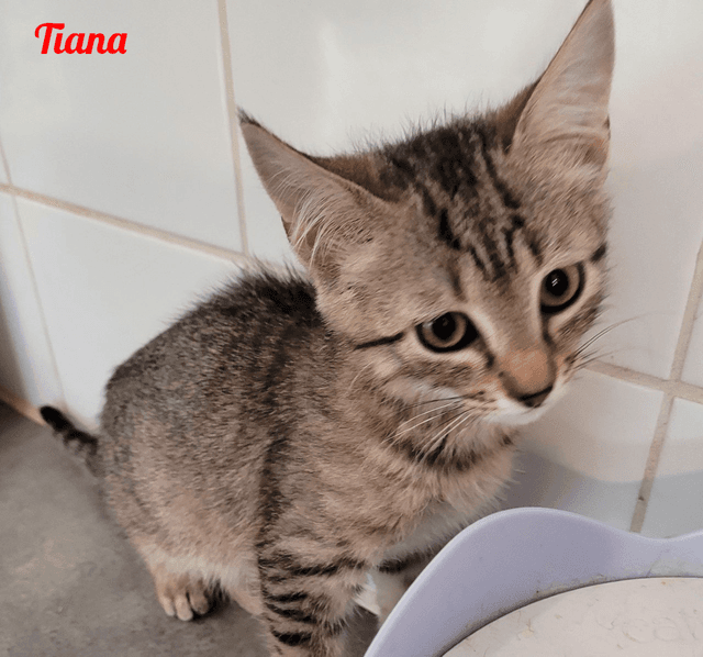 Photo de Tiana-carla