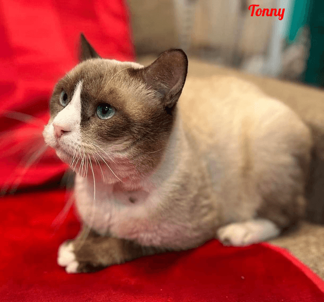 Photo de Tonny