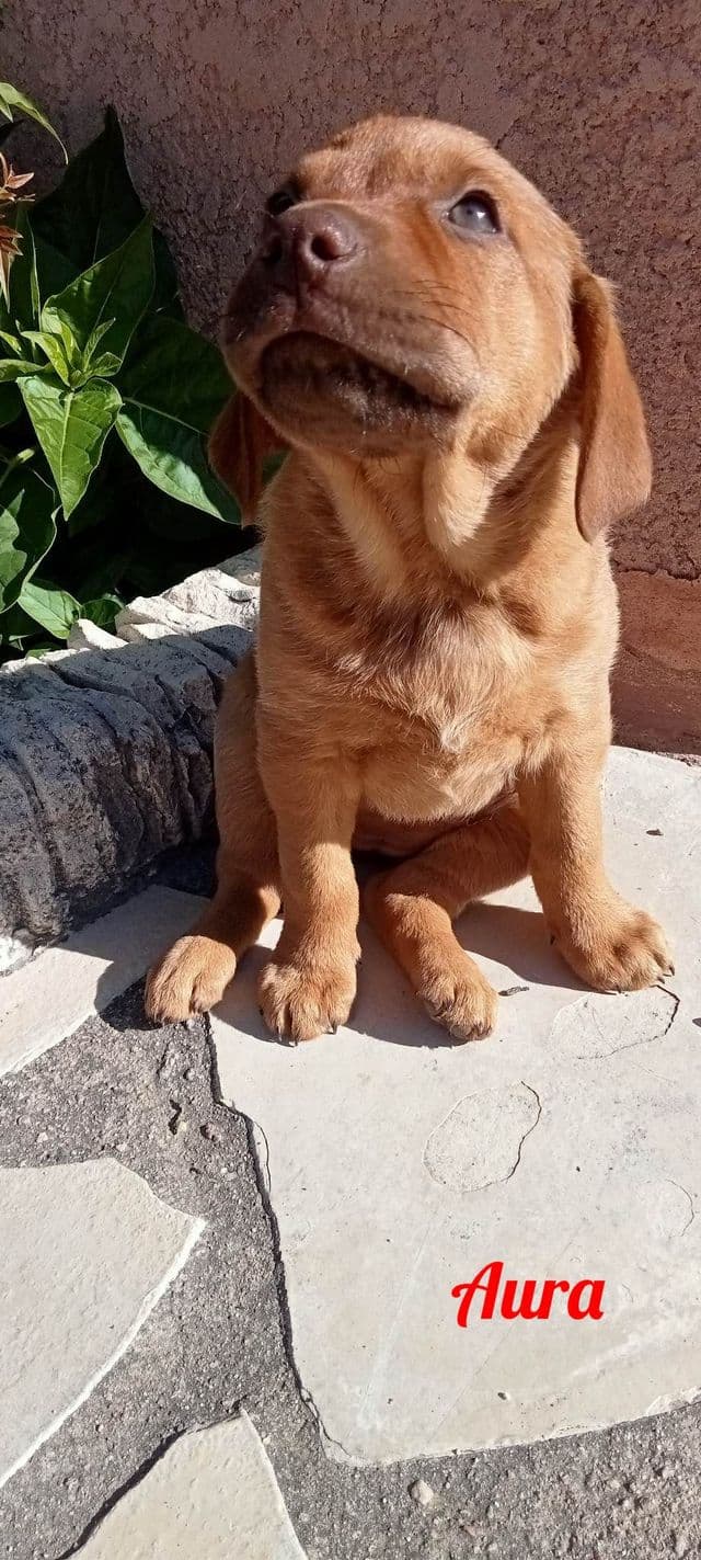 Photo de Aura