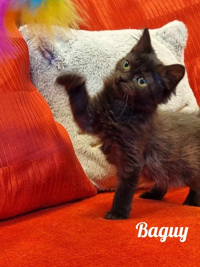 Photo de Baguy
