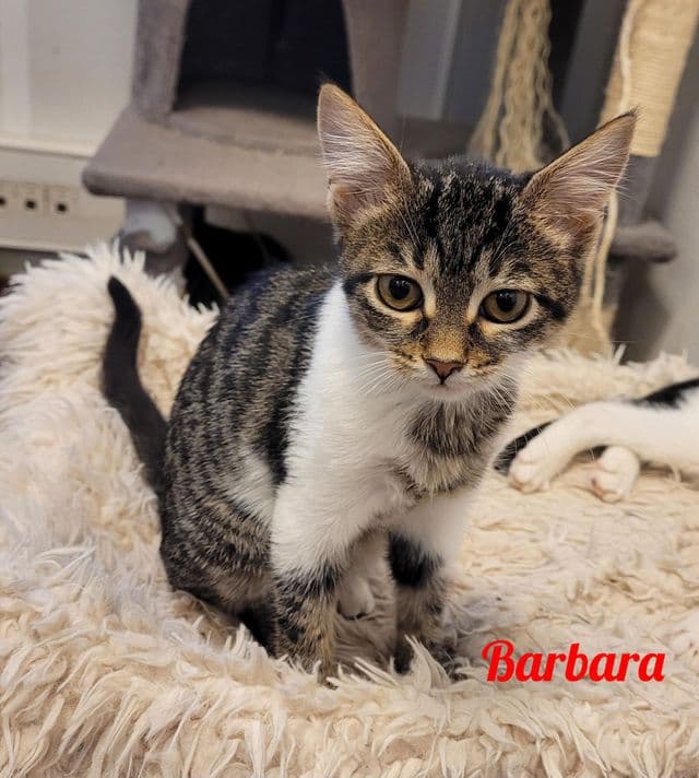 Photo de Barbara