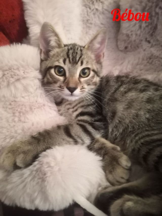 Photo de Bébou