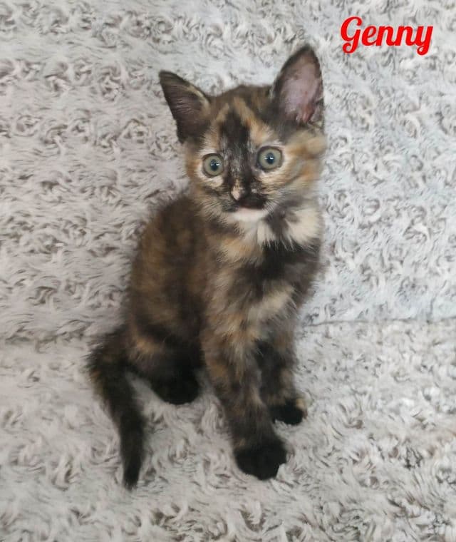 Photo de Genny