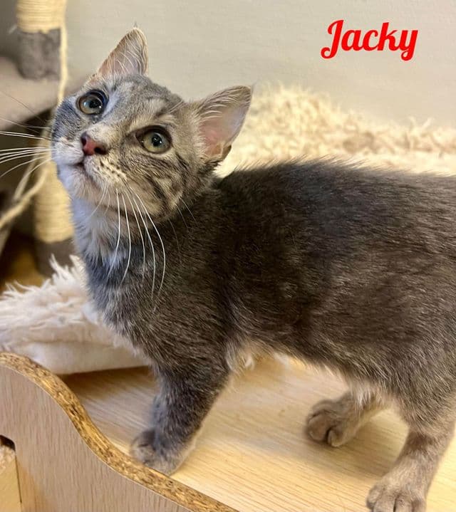Photo de Jacky