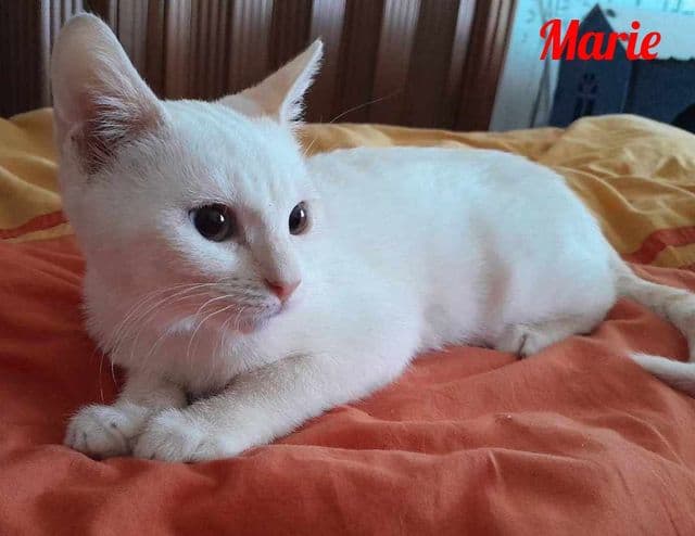 Photo de Marie