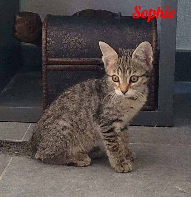 Photo de Sophie