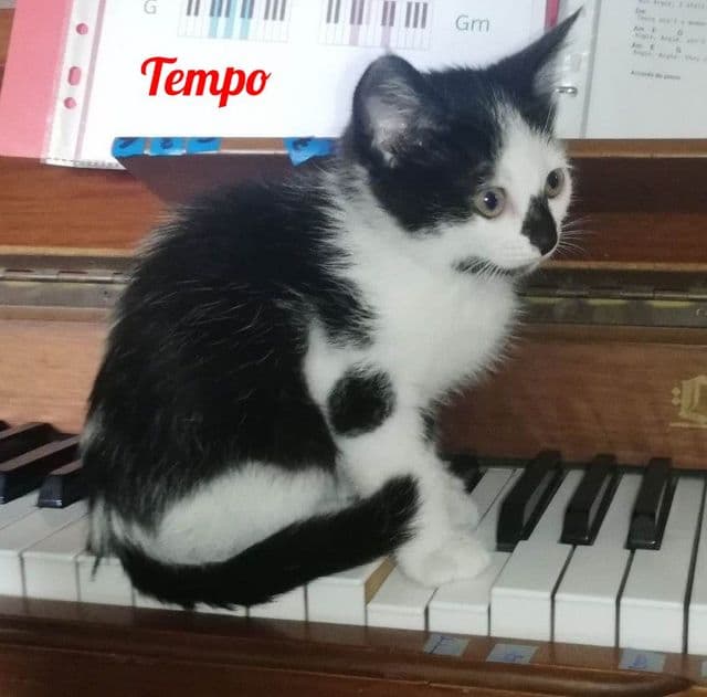Photo de Tempo