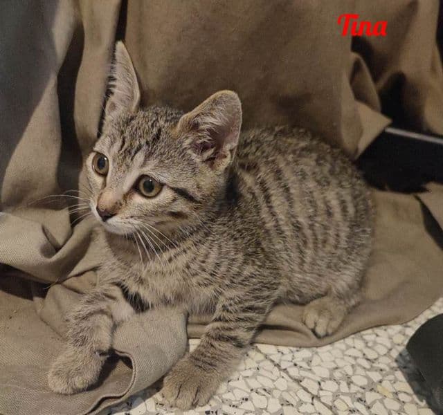 Photo de Tina-tribue-du-bonheur