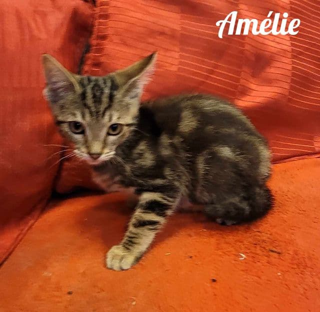 Photo de Amélie