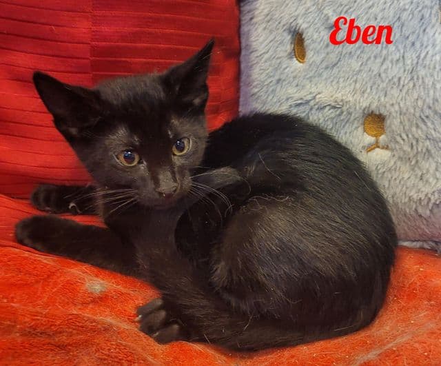 Photo de Eben