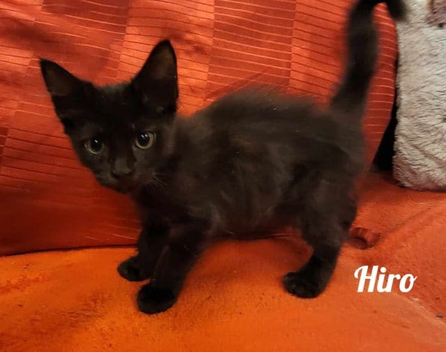 Photo de Hiro