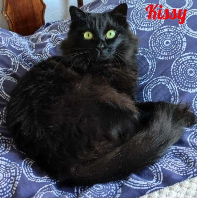 Photo de Kissy-2