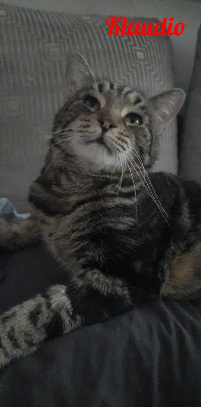 Photo de Klaudio