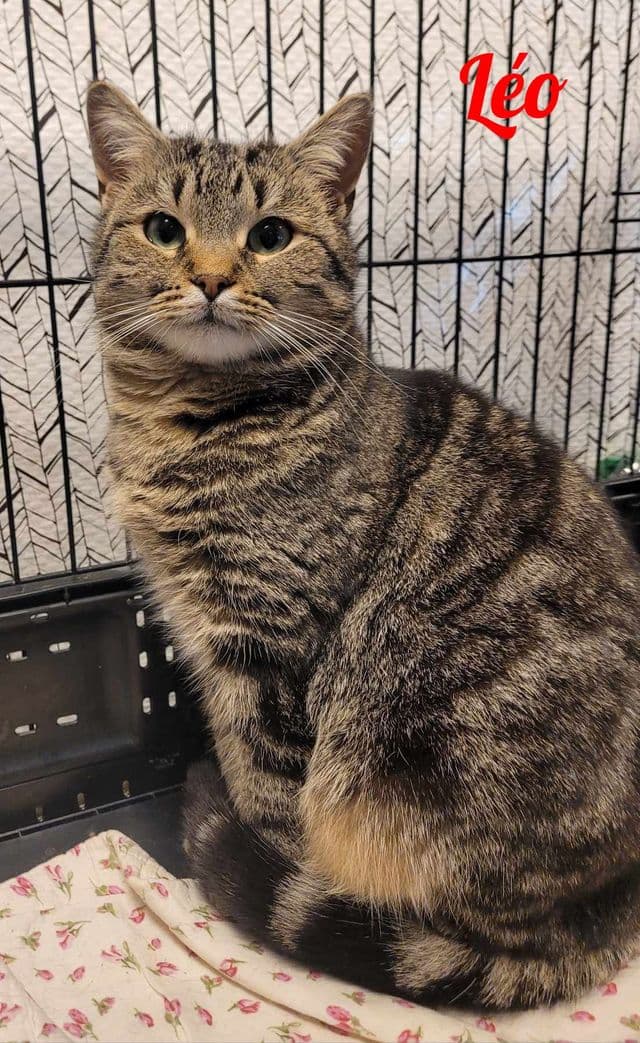 Photo de Léo
