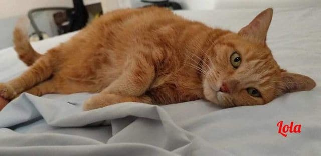 Photo de Lola