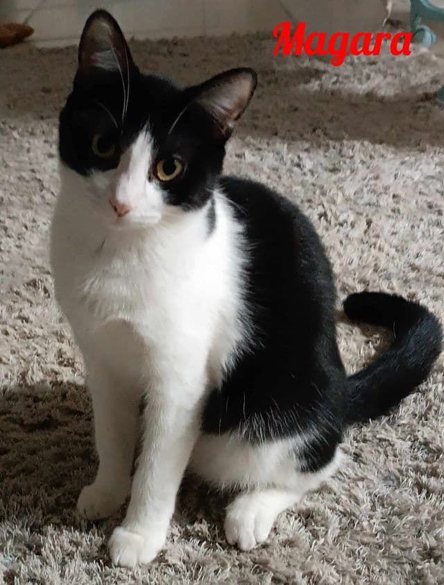 Photo de Magara-2