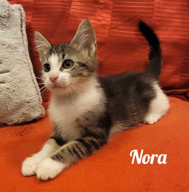 Photo de Nora