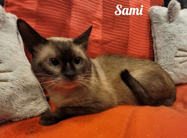 Photo de Sami