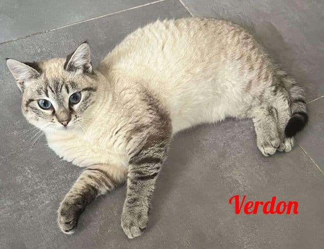 Photo de Verdon