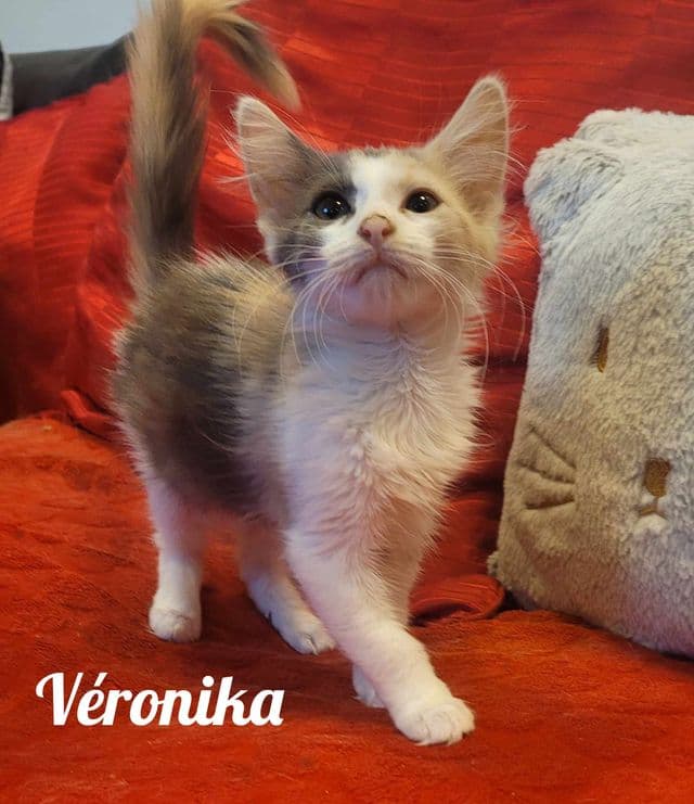 Photo de Veronika