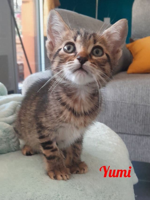 Photo de Yumi