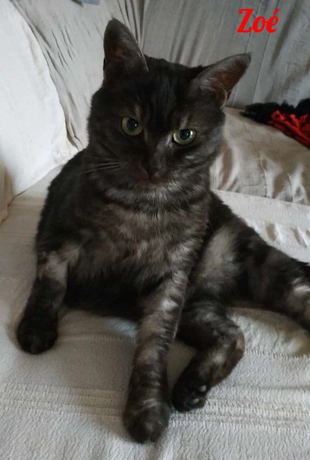 Photo de Zoé