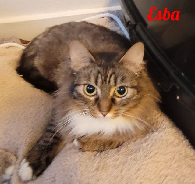 Photo de Esba-2