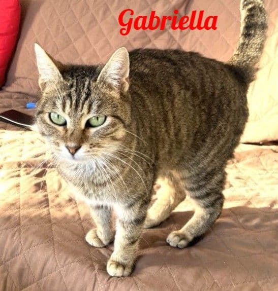 Photo de Gabriella